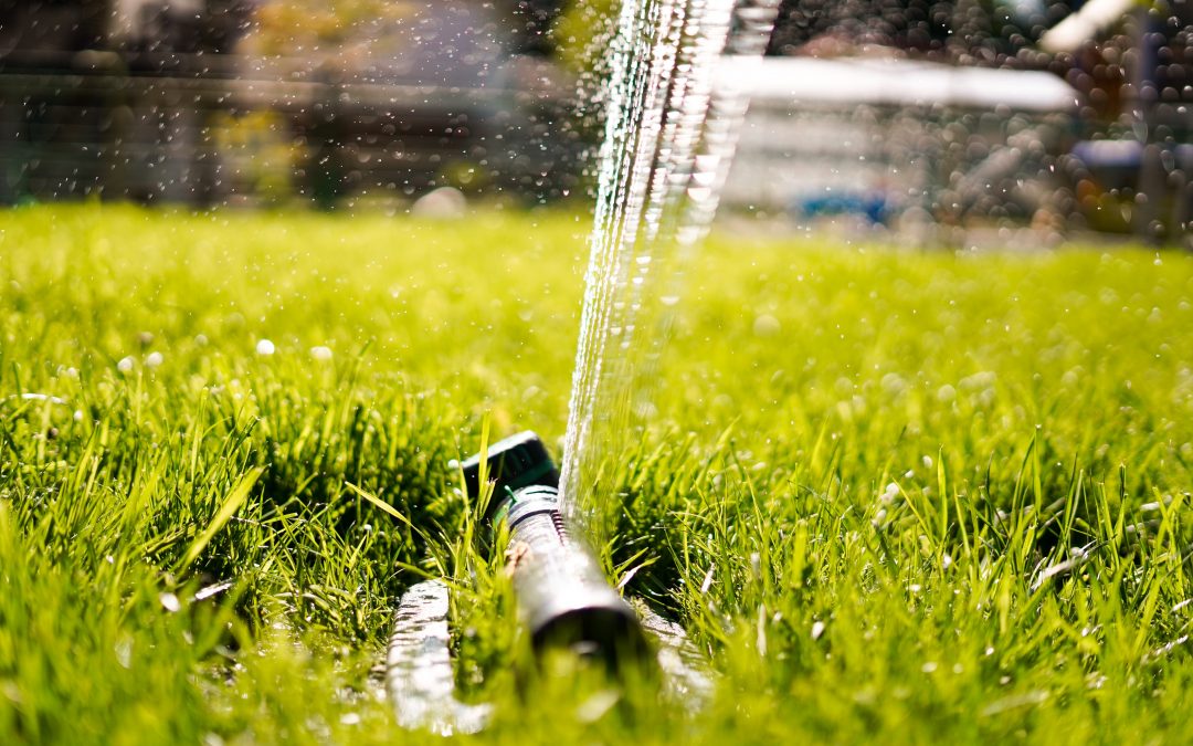 Sécheresse : Ecolo demande une gestion durable de l’eau