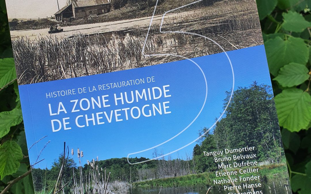 Zone humide du domaine de Chevetogne