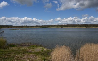 Parc national en Entre-Sambre-et- Meuse : victoire pour la protection de la nature et le développement de notre région