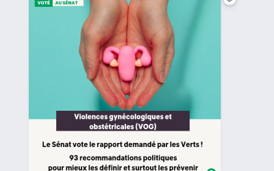 Vote sur le rapport d’information des violences gynécologique (intervention du 2 février 2024)
